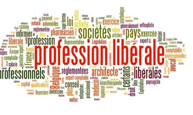 Optimisation des revenus des entrepreneurs et professions-libérales